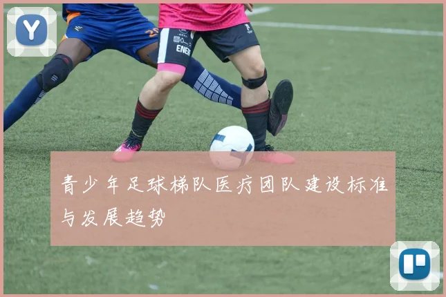 青少年足球梯队医疗团队建设标准与发展趋势