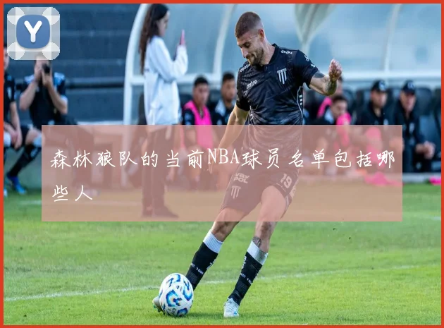森林狼队的当前NBA球员名单包括哪些人