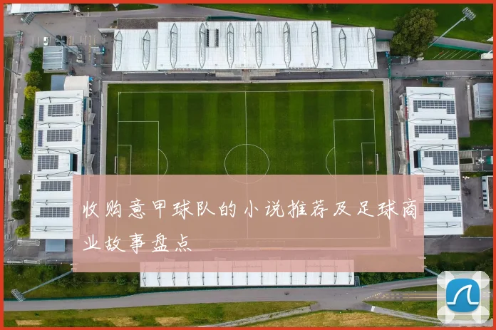 收购意甲球队的小说推荐及足球商业故事盘点