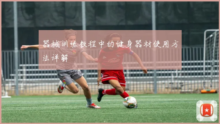 器械训练教程中的健身器材使用方法详解